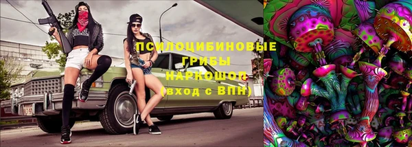 дживик Абаза